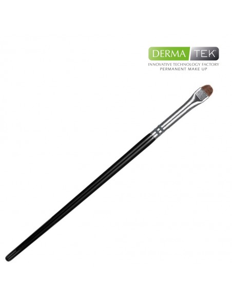 Professional BRUSH for preparatory drawing