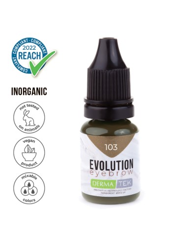 Pigmento Sopracciglia Evolution 103