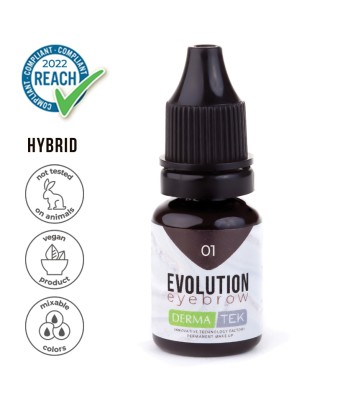 Eyebrow Pigment Evolution 01